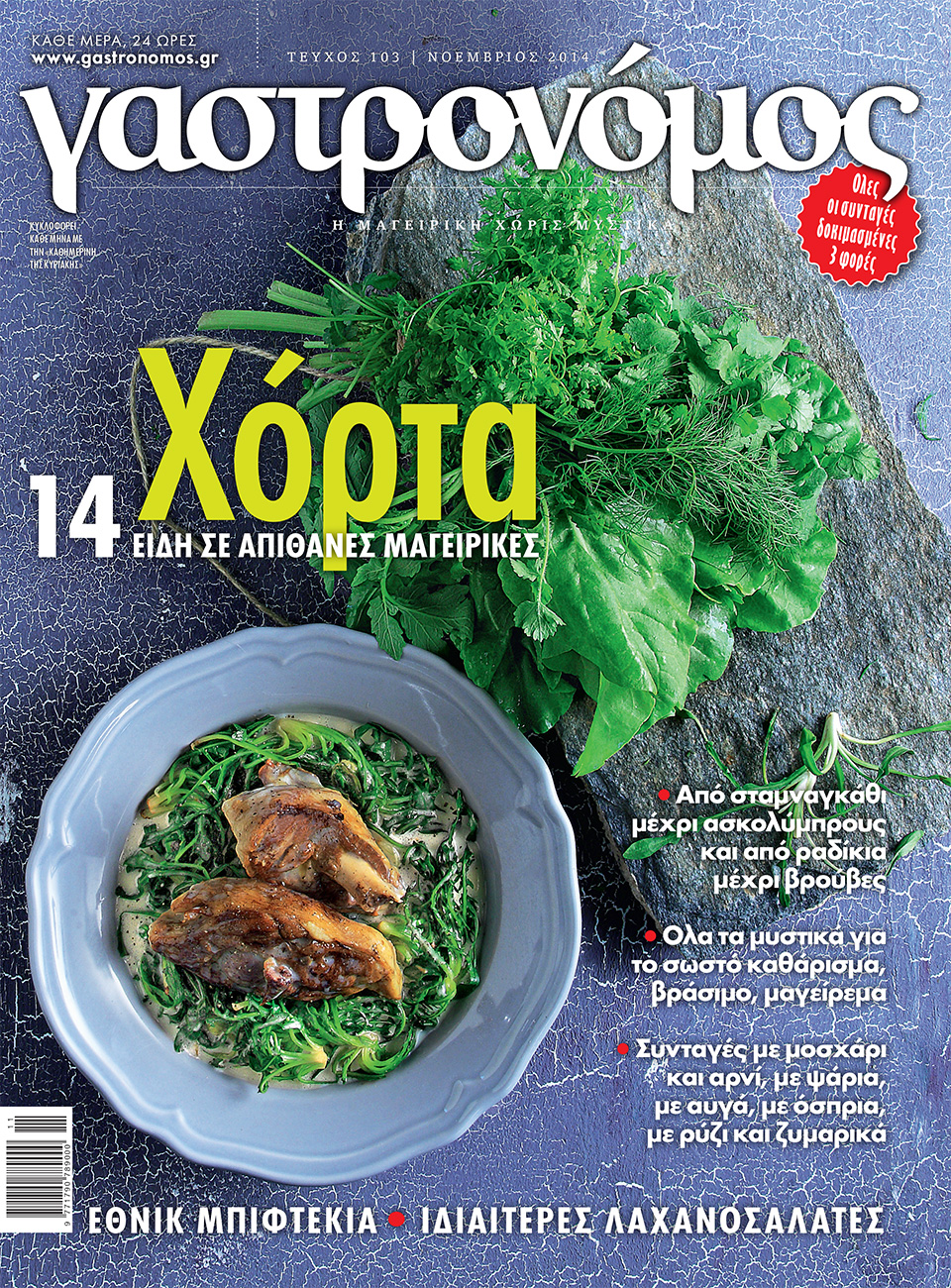 gas_cover_103