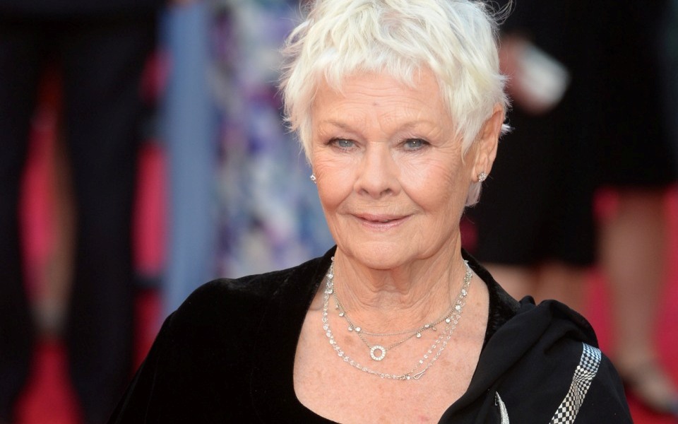 judi-dench-οι-πλαστικές-επεμβάσεις-και-το-τατο-2065791