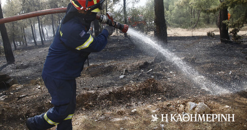 Φωτιά τώρα σε δασική έκταση στη Φθιώτιδα