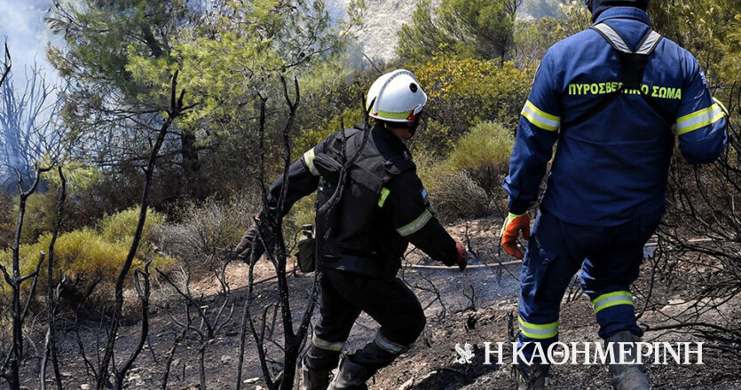 Κρήτη: Φωτιά τώρα στην Καλαμαύκα Ιεράπετρας – Ισχυρές δυνάμεις της Πυροσβεστικής στο σημείο