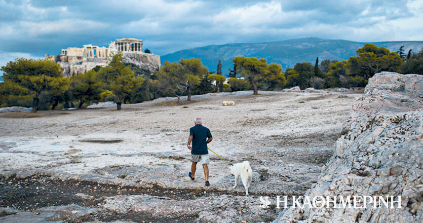 Στο Σούνιο με σκύλο ή χωρίς;