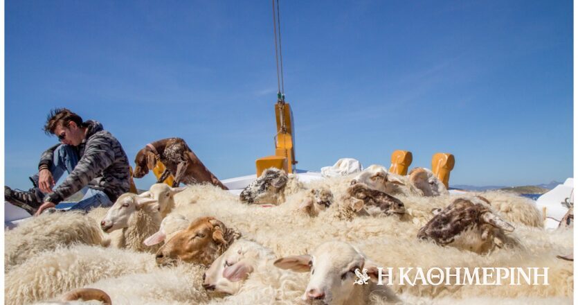 Η αληθινή Μύκονος κρύβεται στη Μαού