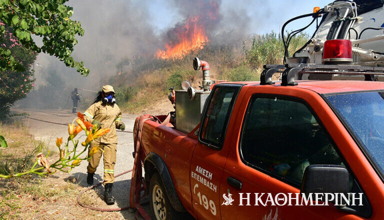 Φωτιά στη Φθιώτιδα: Μάχη με τα πύρινα μέτωπα – Επιχειρούν και εναέρια μέσα