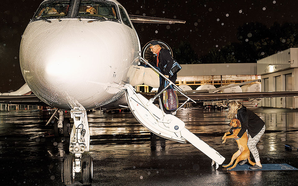 Ανοίγει φτερά αεροπορική εταιρεία με πελάτες σκύλους και γάτες-1