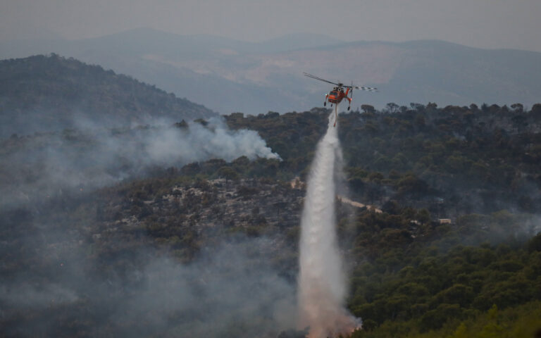 Πυροσβεστική: Αναζωπυρώσεις σε Ρόδο και Λακωνία – 52 νέες πυρκαγιές