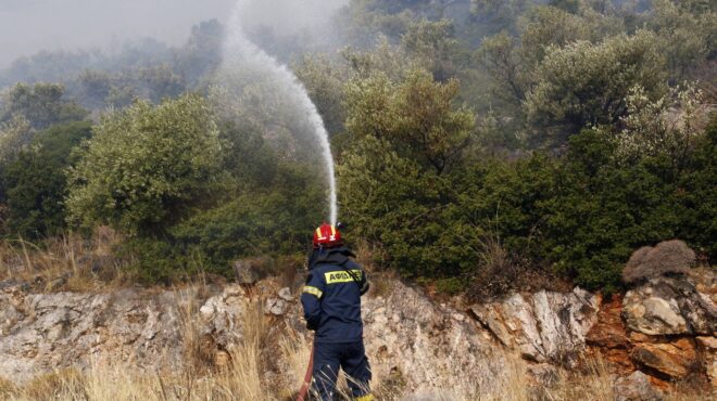 πυρκαγιές-ομάδα-31-ατόμων-από-την-κύπρο-562582318