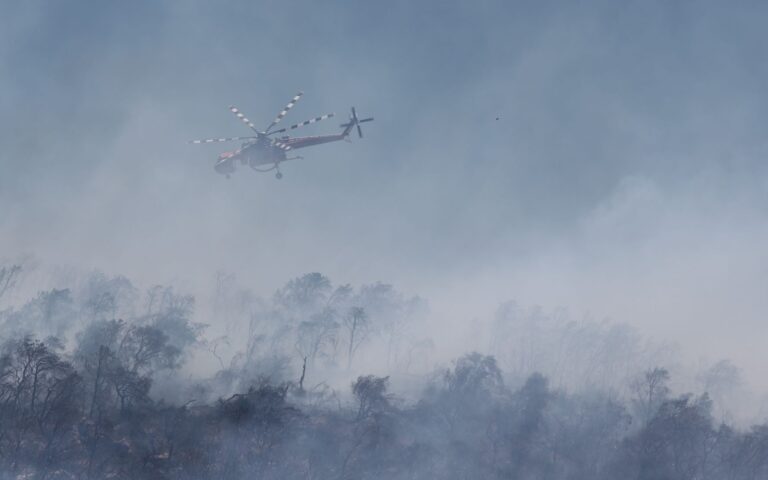 Εύβοια: Φωτιά σε δασική περιοχή της Καρύστου