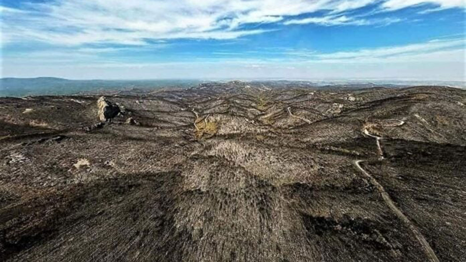 Δαδιά: Εικόνες απόλυτης καταστροφής στο καμένο δάσος