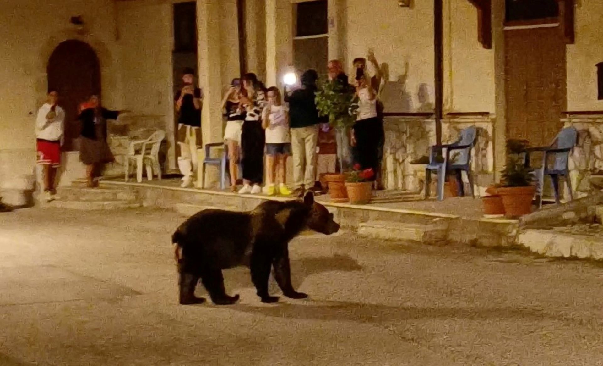 Οργή στην Ιταλία για τον θανάσιμο πυροβολισμό μαμάς αρκούδας