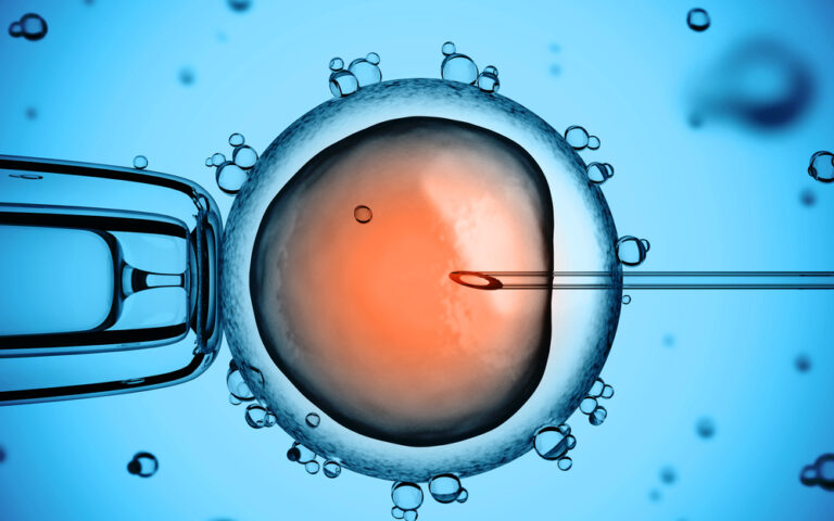 Επιστήμονες ανέπτυξαν «μοντέλο» ανθρώπινου εμβρύου χωρίς σπέρμα ή ωάριο