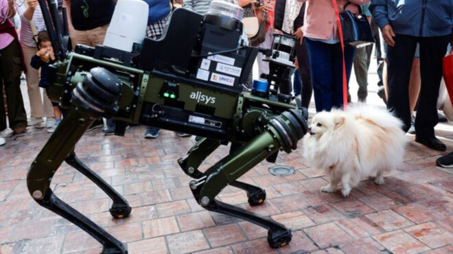 σκύλος-ρομπότ-με-αι-στην-υπηρεσία-της-ι-562939288
