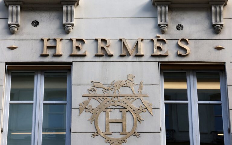 H μάχη για μια τσάντα Birkin της Hermes