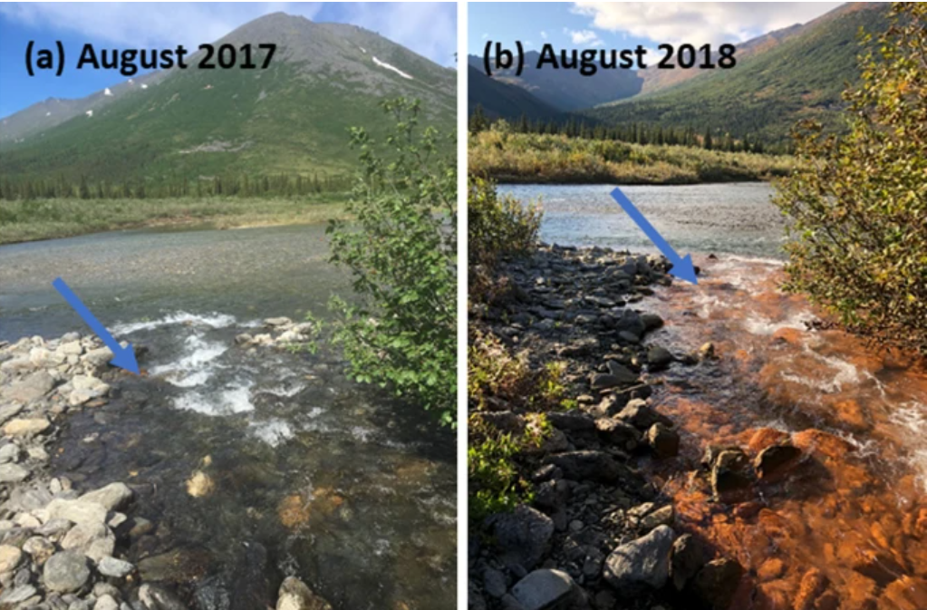 Γιατί τα ποτάμια στην Αλάσκα βάφτηκαν πορτοκαλί-1