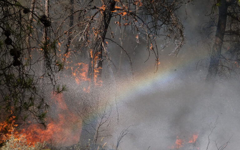 Πυρκαγιά σε αγροτοδασική έκταση στα Μέγαρα