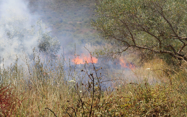 Τρεις συλλήψεις για πυρκαγιές σε Σαλαμίνα, Ραφήνα και Πόρο