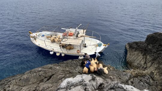 Αποστολή στο πάρκο της Σύρνας