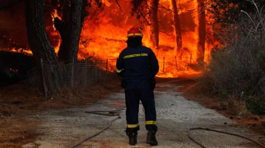 Συστάσεις για τη διαχείριση των πυρκαγιών