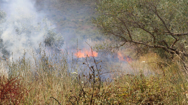 εύβοια-φωτιά-σε-δασική-έκταση-στην-περ-563108359