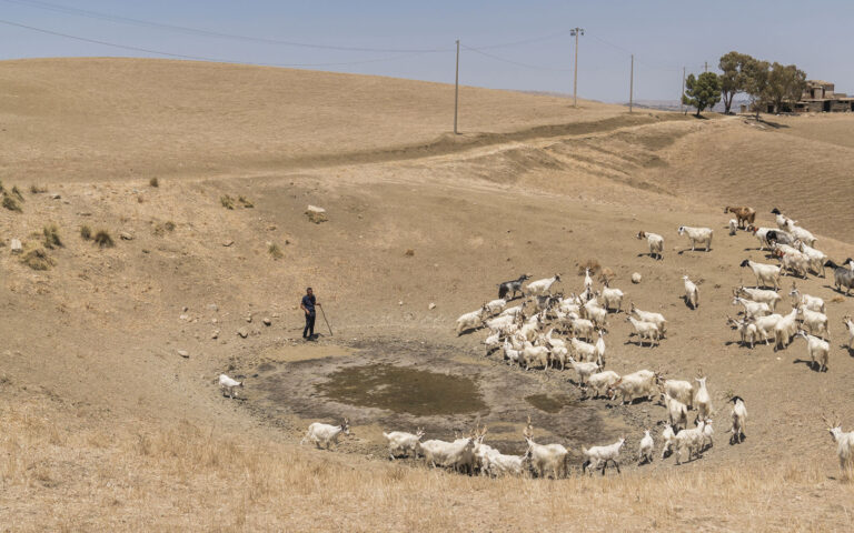Σικελία: Θυσία η γεωργία στον βωμό του τουρισμού λόγω λειψυδρίας