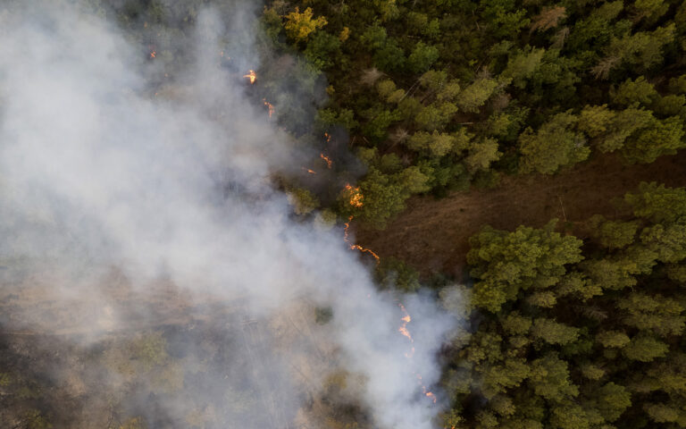 Πυρκαγιές: Η ελληνική πρωτιά στις καμένες εκτάσεις Natura2000
