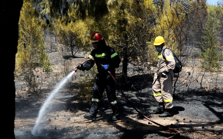 Φωτιά τώρα – Ζάκυνθος: Πυρκαγιά στην περιοχή Αγαλάς