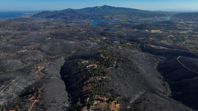 meteo-το-37-των-δασών-της-αττικής-κάηκε-τα-8-τελ-563172544