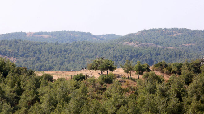 aπορρόφηση-5-εκατ-από-ταμείο-ανάκαμψης-563172541