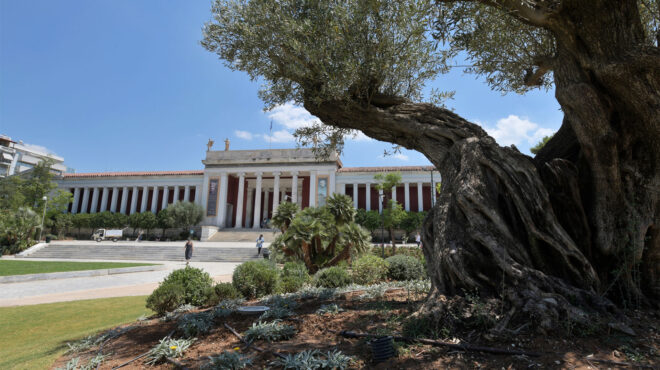 νέα-διεύθυνση-για-την-επέκταση-του-εθν-563161240