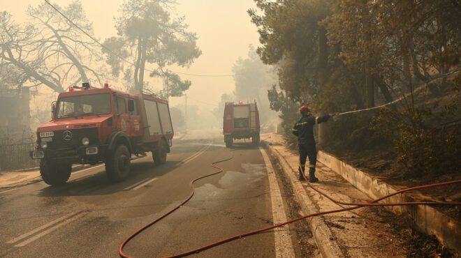 φωτιά-στην-αττική-συγκέντρωση-ειδών-π-563169838