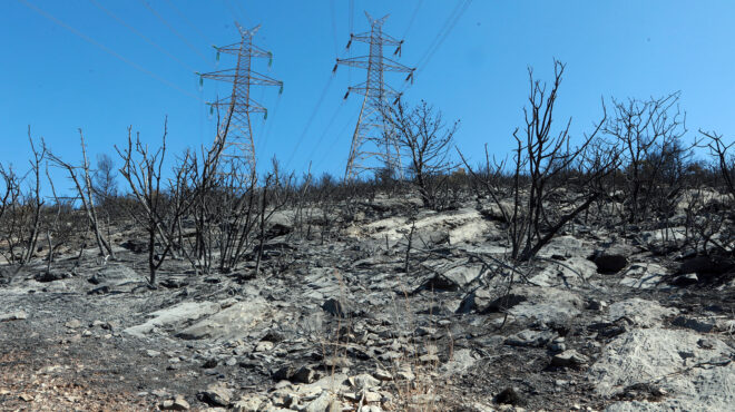 φωτιά-στην-αττική-με-υπεύθυνη-δήλωση-ε-563171683