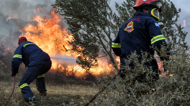 σε-εξέλιξη-πυρκαγιά-στο-όρος-φαλακρό-σ-563178007