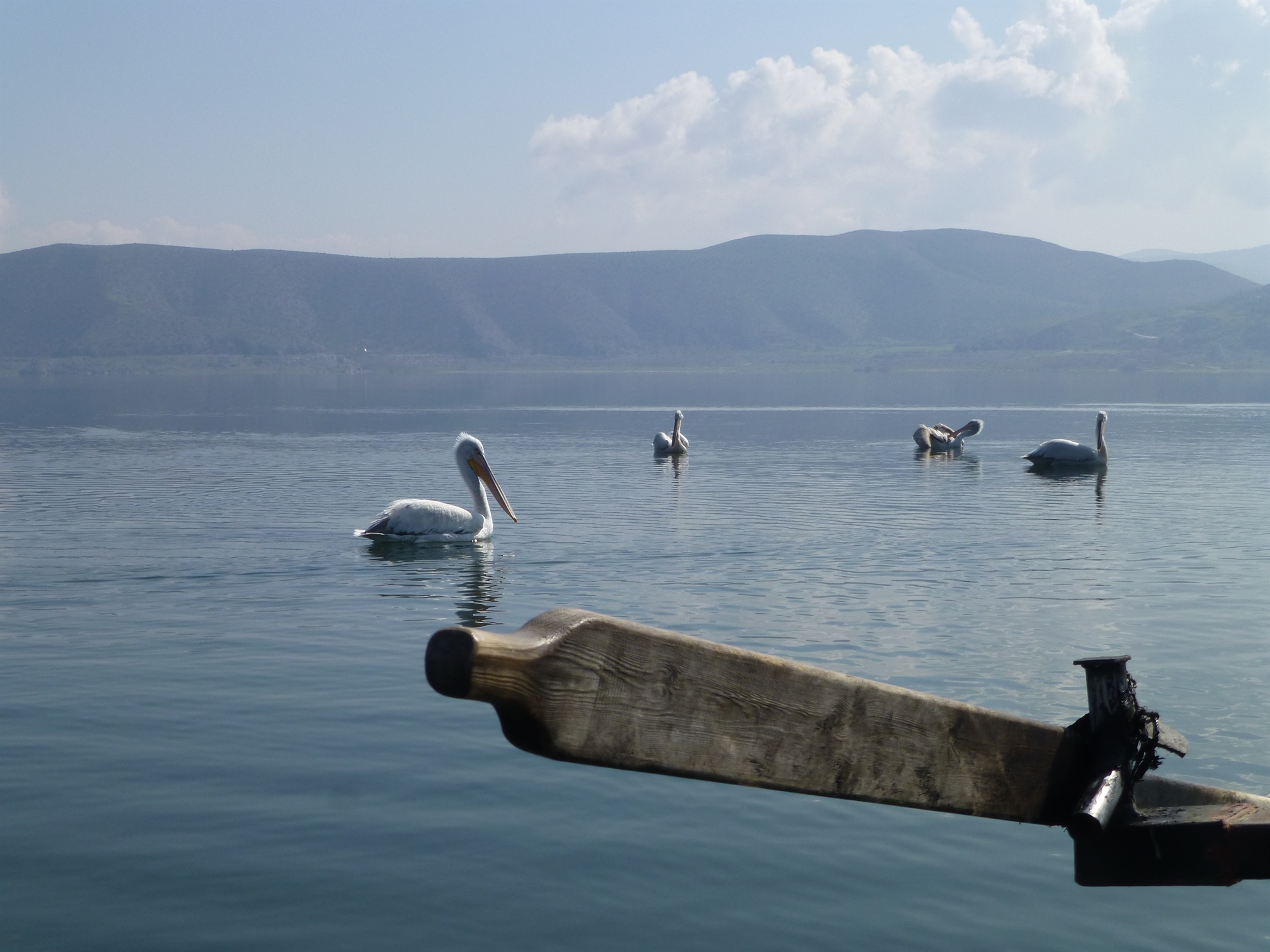 Η άρδευση απειλεί τις λίμνες της Μακεδονίας-1