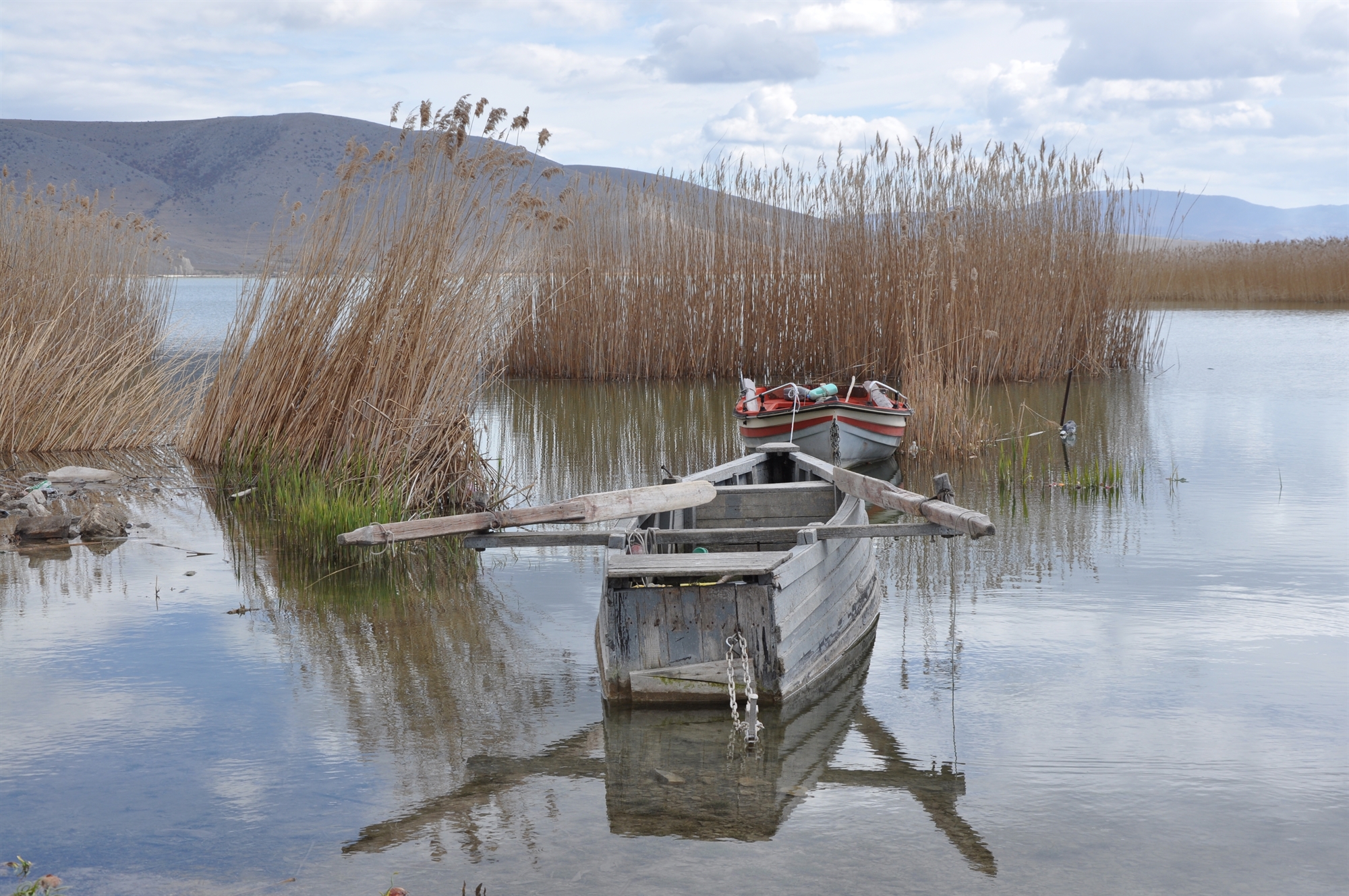 η-άρδευση-απειλεί-τις-λίμνες-της-μακεδ-563220217