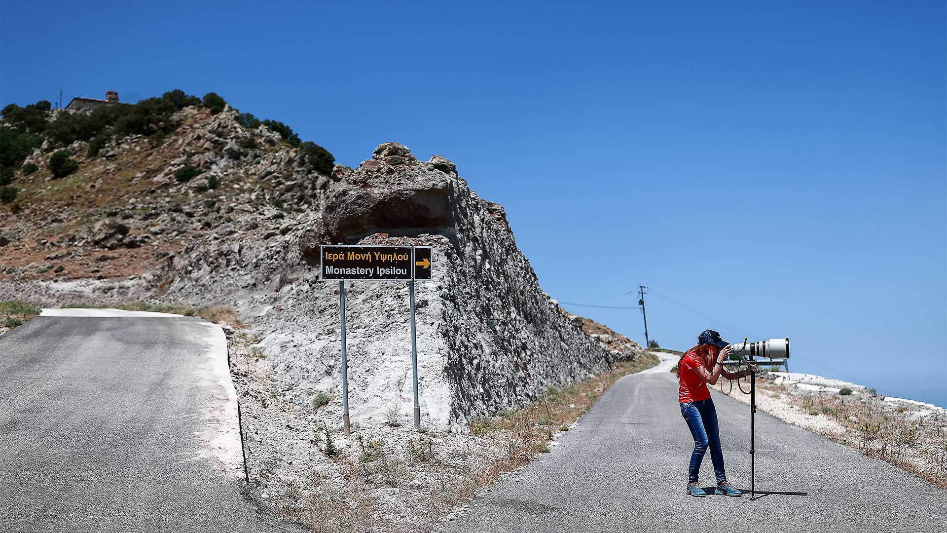 Λέσβος: Ενας παράδεισος για ορνιθοπαρατηρητές και σπάνια είδη πτηνών-1