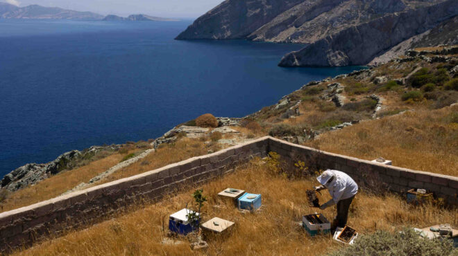 το-μέλι-των-κυκλάδων-κινδυνεύει-με-εξα-563216461