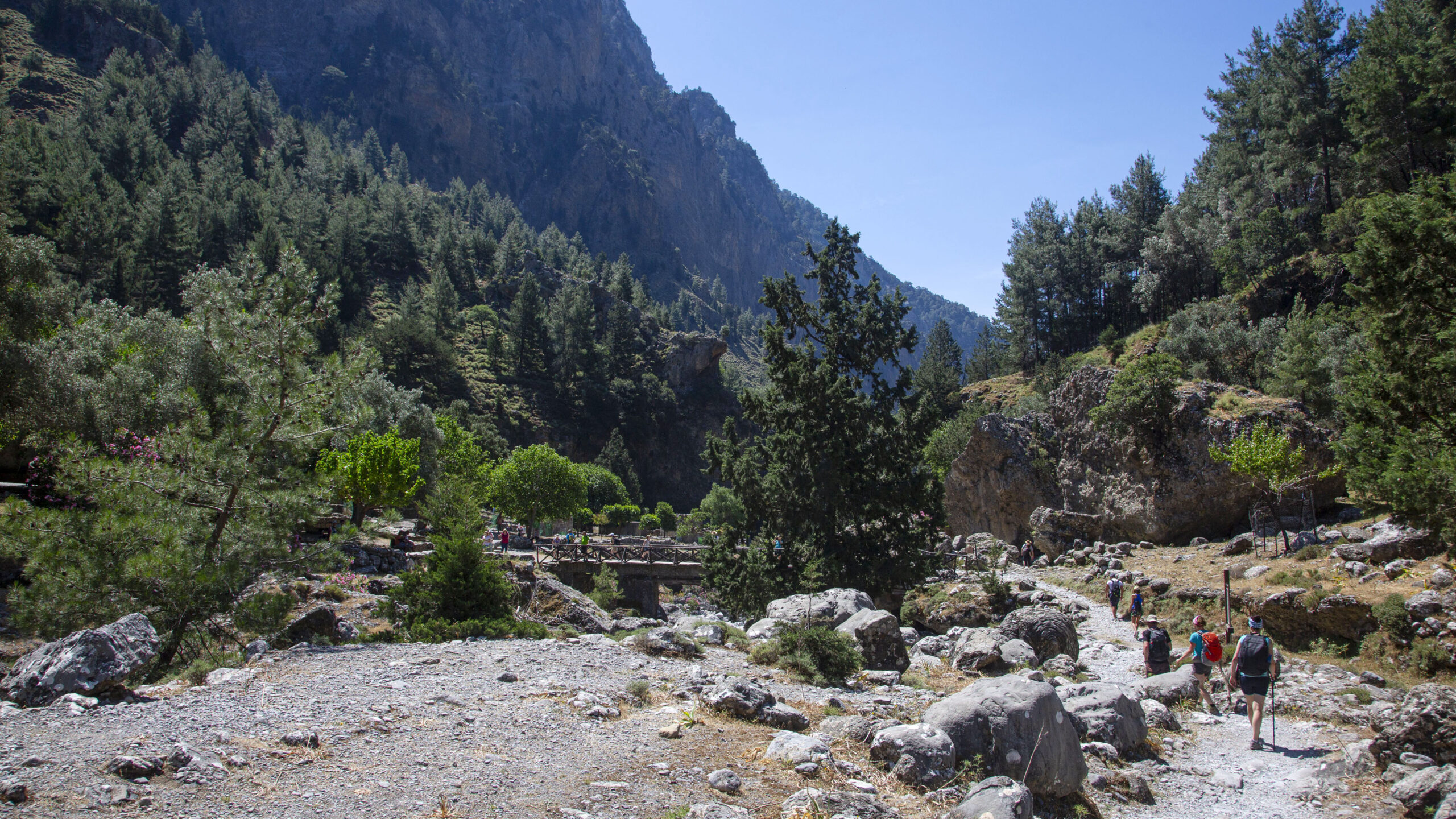 φαράγγι-της-σαμαριάς-ανοιξε-με-νέο-καν-563247346