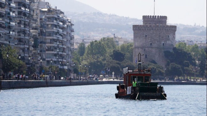 ερευνα-για-τα-ψάρια-του-θερμαϊκού-563209117