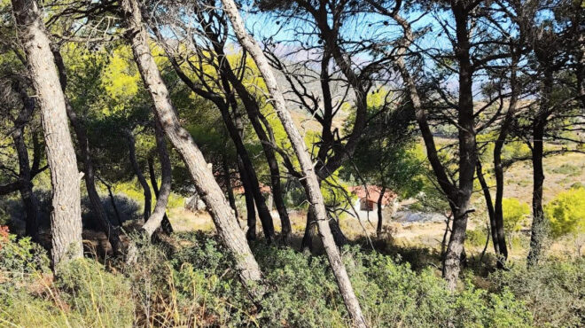 παλαιοχριστιανοί-στον-εισαγγελέα-ο-45χ-563245228