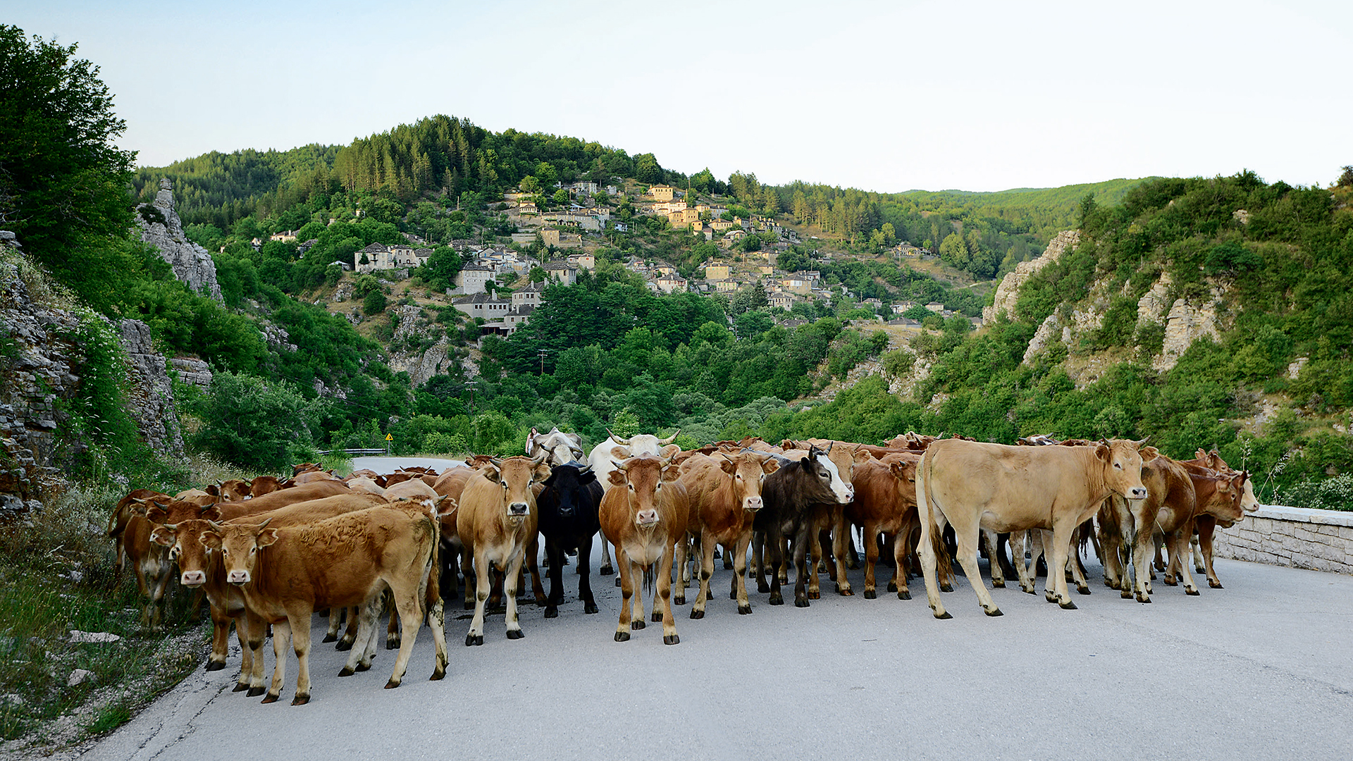 κόλπο-45-εκατομμυρίων-με-εικονικά-βοσ-563245156