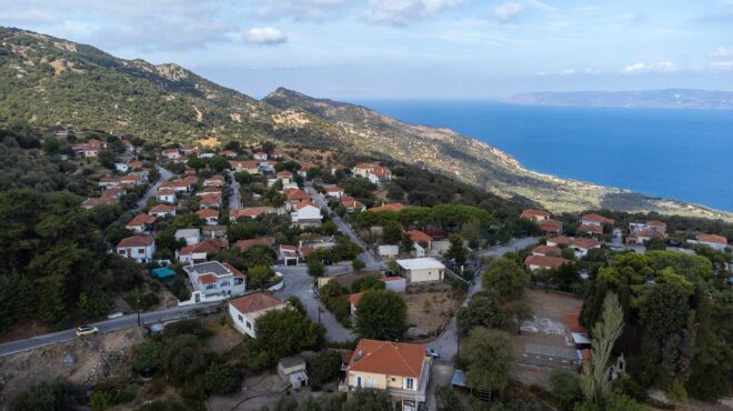 φάρμα-καριοφύλλη-εμπειρία-για-όλη-την-563295112