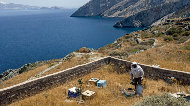 γιατί-οι-παραγωγοί-των-κυκλάδων-αξίζο-563277343